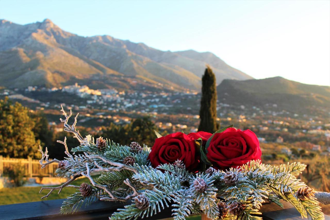 Villa Treglia B&B Formia Exteriér fotografie
