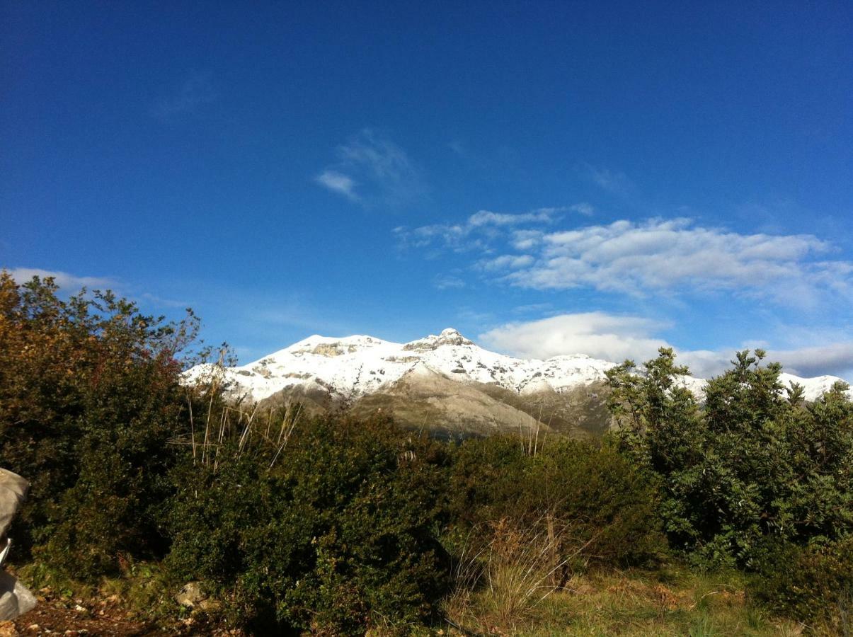 Villa Treglia B&B Formia Exteriér fotografie