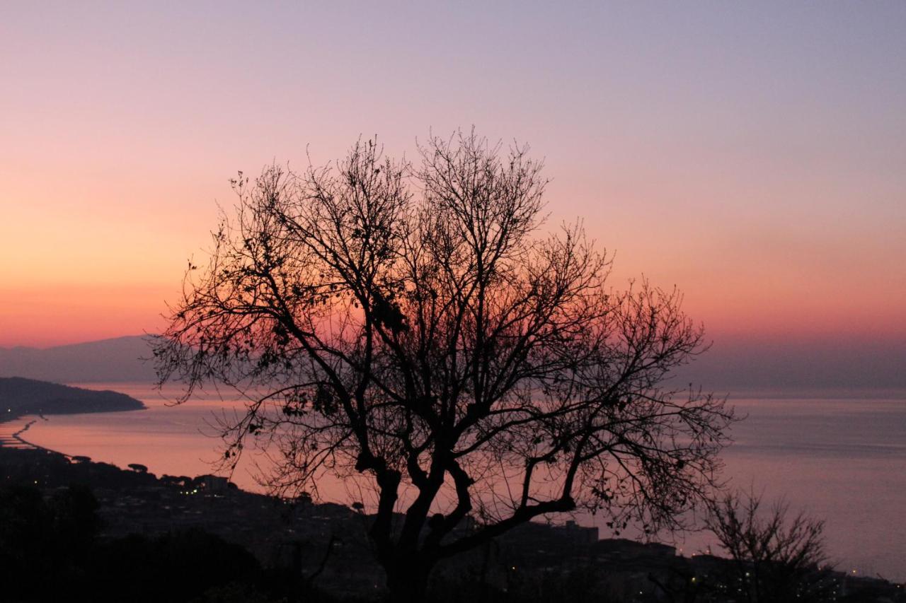 Villa Treglia B&B Formia Exteriér fotografie